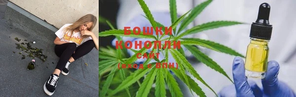 PSILOCYBIN Сатка