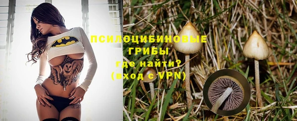 МДПВ Саяногорск