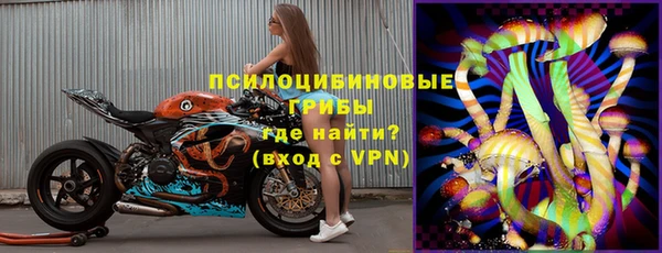 МДПВ Саяногорск