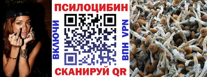 Галлюциногенные грибы мицелий  нарко площадка какой сайт  Балахна 