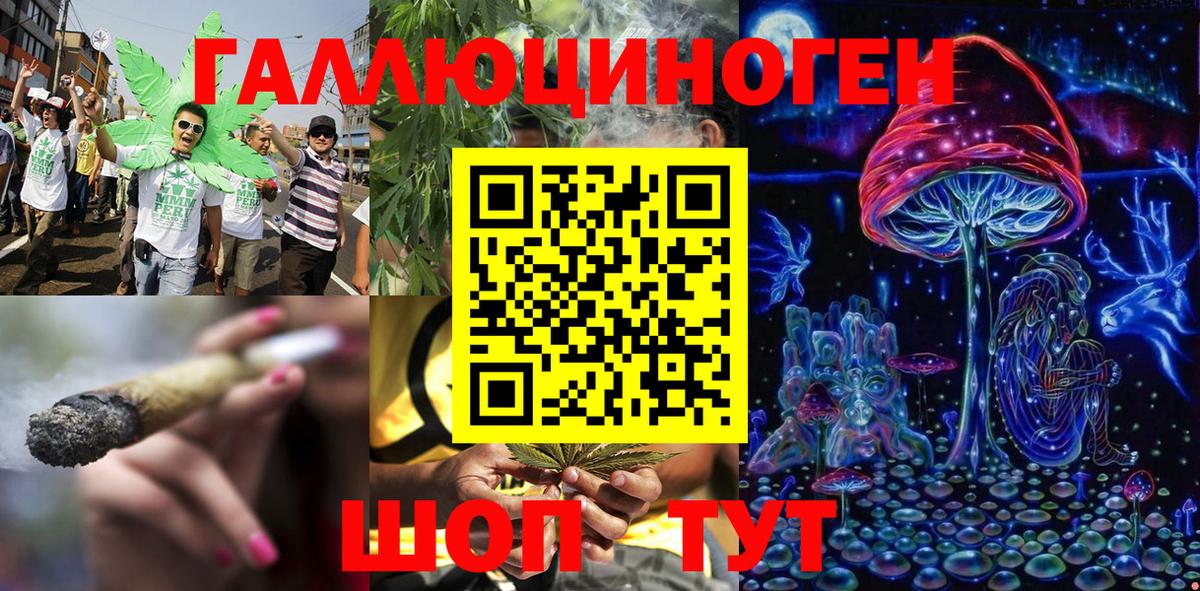 Балахна  где найти   Вход с VPN  Псилоцибиновые грибы Magic Shrooms 